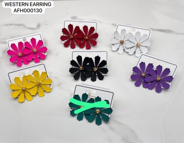 Set of 2 pair mix colour western Earring