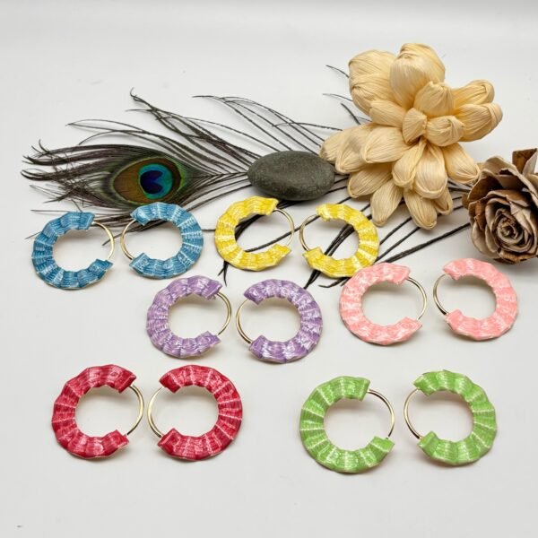 Set of 2 pc mix colour western metal earring