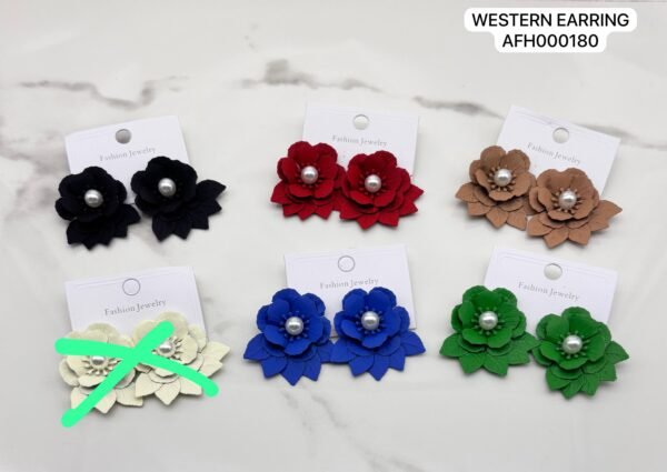 Set of 2 pair mix colour western Earring