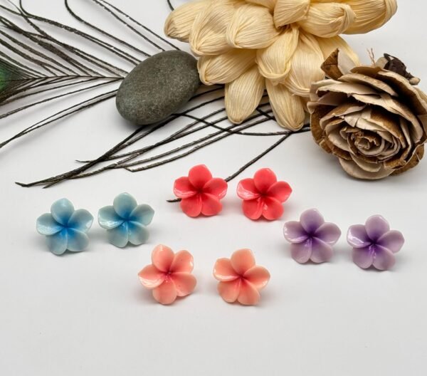 set of 2 pc mix colour western earring