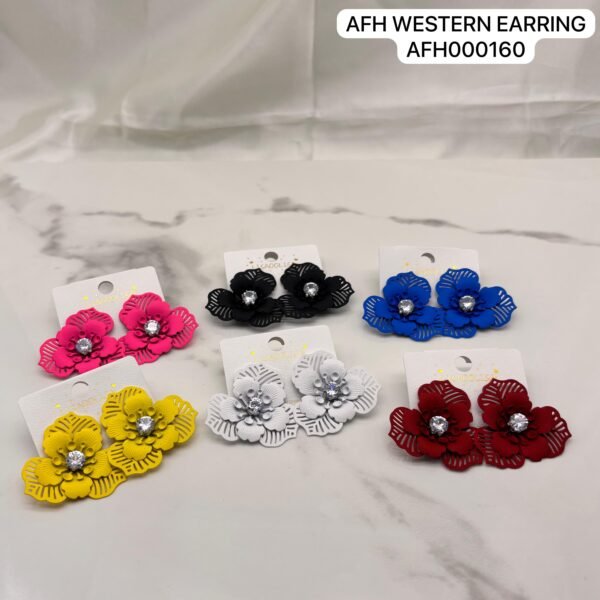 Set of 2 pair mix colour western Earring