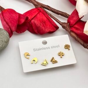 Anti tarnish daily wear Earring (70 rs full patta)