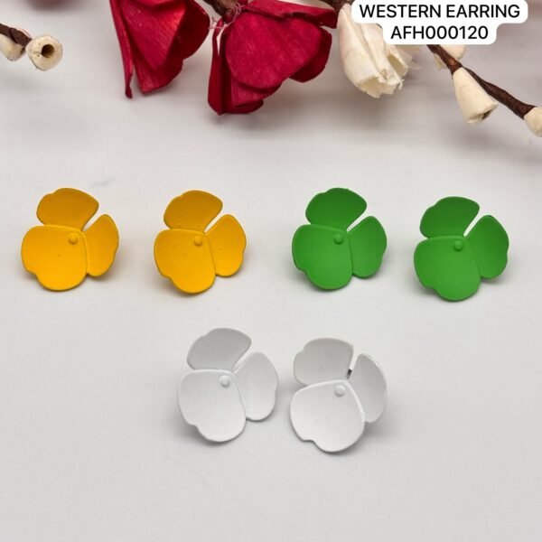 Set of 2 pc mix colour daily wear western Earring