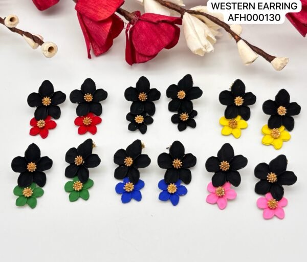 Set of 2 pc mix colour daily wear western Earring