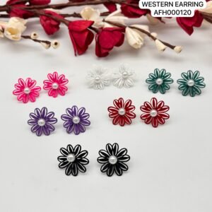 Set of 2 pc mix colour daily wear western Earring