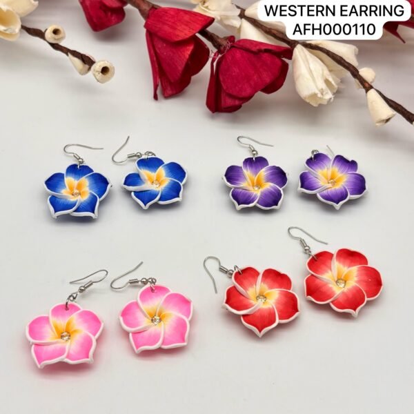 Set of 2 pc mix colour daily wear western Earring