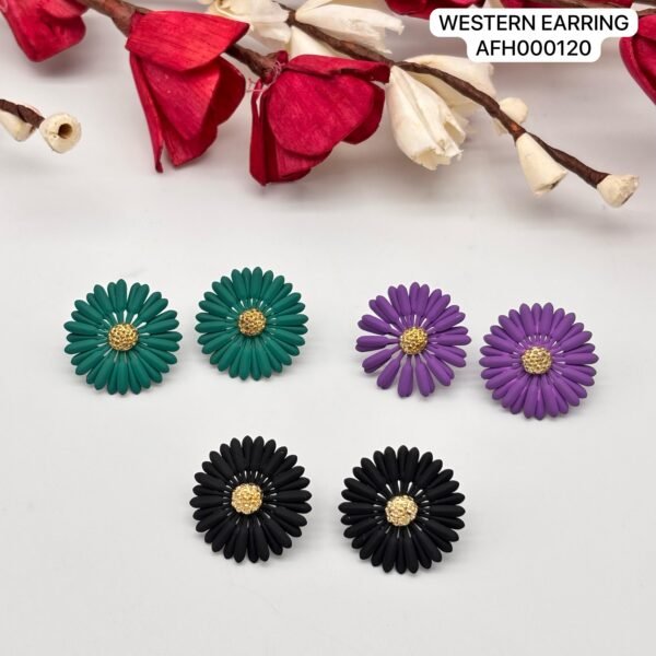 Set of 2 pc mix colour daily wear western Earring