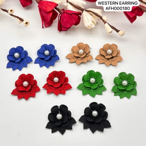 Set of 2 pc mix colour daily wear western Earring