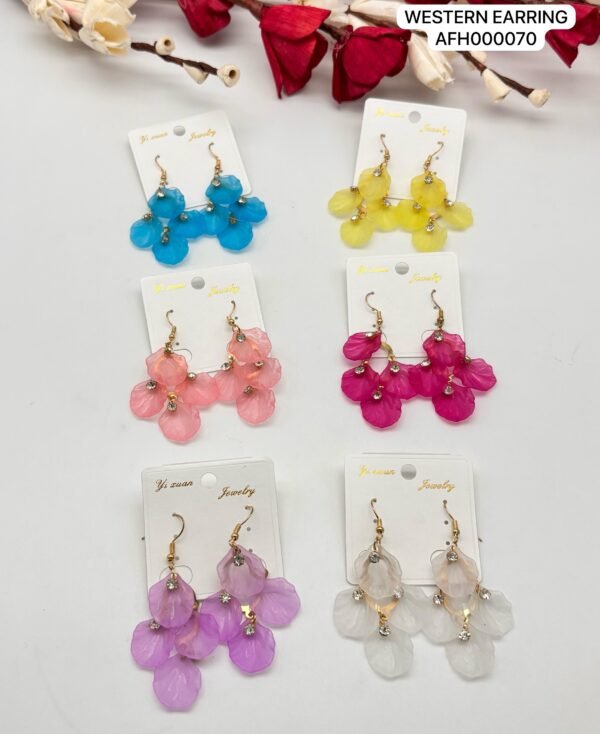 Set of 2 pc mix colour daily wear western Earring