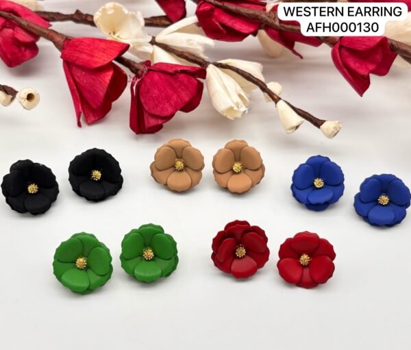Set of 2 pc mix colour daily wear western Earring